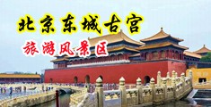 草b网站中国北京-东城古宫旅游风景区